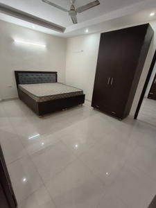 1400 sq ft 2 BHK 2T BuilderFloor for rent in HUDA Plot Sector 43 at Sector 43, Gurgaon by Agent Shiftwave OPC Private Limited