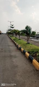 1620 Sq. ft Plot for Sale in Kandi, Hyderabad