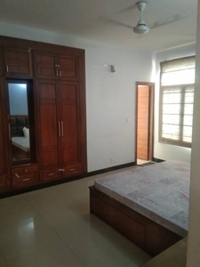 2000 sq ft 3 BHK 3T Apartment for rent in Reputed Builder Hewo Apartments Part 1 at Sector 56, Gurgaon by Agent Dagar Realtech