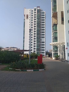 3960 sq ft 4 BHK 5T Apartment for rent in Sattva Magnificia at Mahadevapura, Bangalore by Agent Makaan