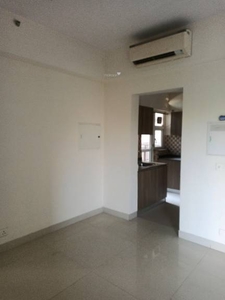 915 sq ft 2 BHK 2T North facing Completed property Apartment for sale at Rs 1.20 crore in Shapoorji Pallonji JoyVille in Sector 102, Gurgaon