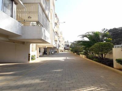 1300 sq ft 3 BHK 2T West facing Apartment for sale at Rs 88.00 lacs in Century Linea in Jakkur, Bangalore