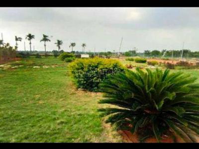 1800 sq ft Plot for sale at Rs 32.00 lacs in Fortune NCS Fortune Medi City in Mucherla, Hyderabad