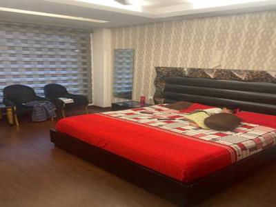 2400 sq ft 4 BHK 4T East facing Completed property Apartment for sale at Rs 3.25 crore in DLF Shivaji Park 3th floor in Punjabi Bagh, Delhi