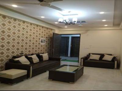 450 sq ft 2 BHK 1T BuilderFloor for sale at Rs 18.50 lacs in Project in DLF Ankur Vihar, Delhi