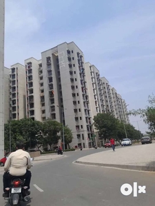 1 BHK Flat Available In Rent For Crown Project Golden Dreams Secter 10