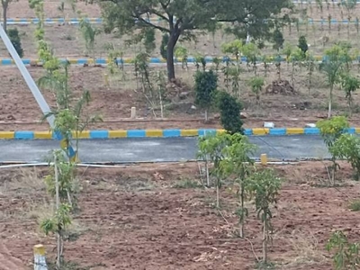 1332 sq ft Plot for sale at Rs 9.62 lacs in Vardhan Green Hills in Amangal, Hyderabad