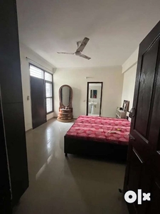 2bhk fully furnished flat for rent Maya gardan city