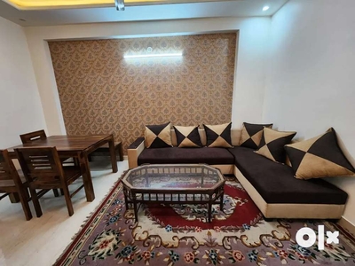 3 BHK ultra luxurious furnished flate vaishali Ngr