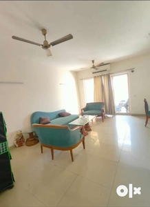 3+1 flat for rent in suncity fully furnished