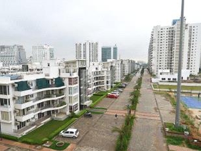 4 BHK Independent/ Builder Floor For Sale in Emaar MGF Palm Terraces Gurgaon