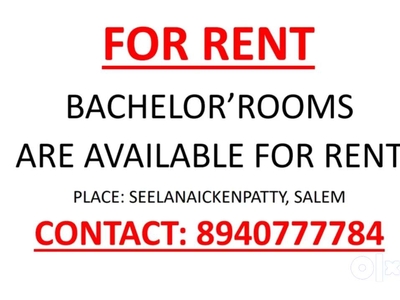 Bachelor's room for rent