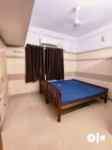 Family/ Bachelor'sStudio Fully Furnished Apartment For Rent@ kakkanad