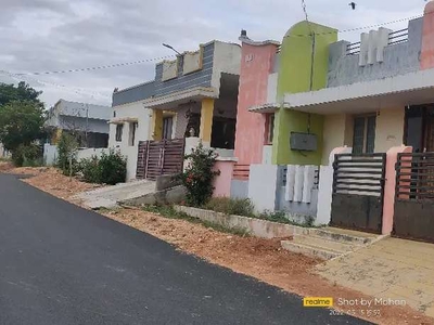Individual house in veerapandi for rent