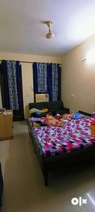 Owner free furnished Room Available for rent