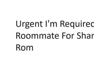 Urgently Need A roommate