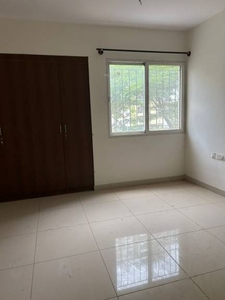1100 sq ft 2 BHK 2T Apartment for rent in DSR Rainbow Heights at HSR Layout, Bangalore by Agent Vinayaka Real Estate