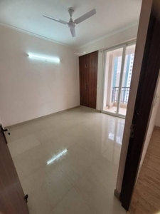 1446 sq ft 3 BHK 2T Apartment for rent in Amrapali Pan Oasis at Sector 70, Noida by Agent prob realtors private limited