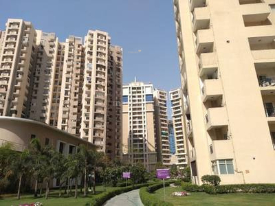 1685 sq ft 3 BHK 4T Apartment for rent in Paramount Floraville at Sector 137, Noida by Agent Surya Associates
