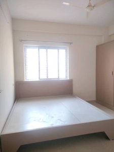 800 sq ft 1 BHK 1T Apartment for rent in Project at BTM Layout, Bangalore by Agent SHIVA REAL ESTATE AGENCY