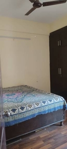 825 sq ft 2 BHK 2T Apartment for rent in Paras Tierea at Sector 137, Noida by Agent Bhavya Estates