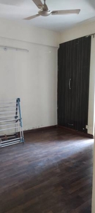 925 sq ft 2 BHK 2T Apartment for rent in Paras Tierea at Sector 137, Noida by Agent Bhavya Estates