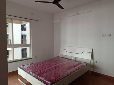 950 sq ft 2 BHK 2T Apartment for sale at Rs 90.00 lacs in DB Ozone in Dahisar, Mumbai