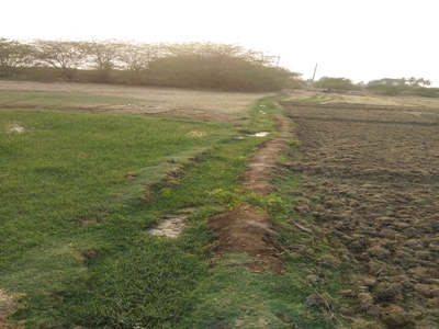 Agricultural Land 1 Acre for Sale in Dharmavaram, Anantapur