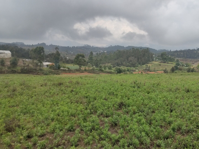 Agricultural Land 3 Acre for Sale in Kookal, Kodaikanal