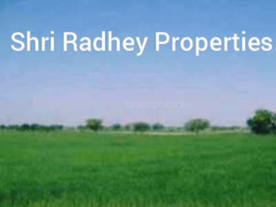 Agricultural Land 30 Acre for Sale in GT Karnal Road, Panipat