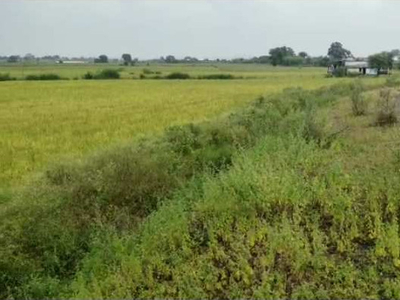 Agricultural Land 50 Acre for Sale in