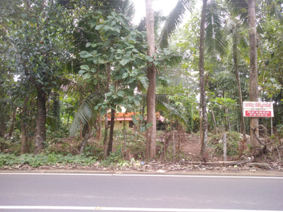 Residential Plot 25 Cent for Sale in Alleppey, Alappuzha