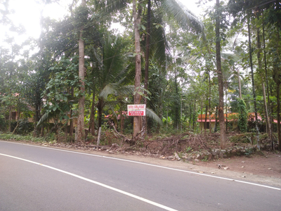 Residential Plot 25 Cent for Sale in Chengannur, Alappuzha