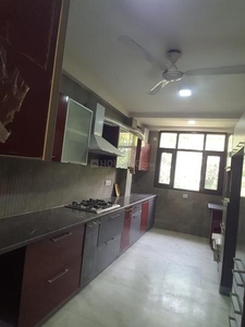 3 BHK Independent Floor for rent in Geetanjali Enclave, New Delhi - 3600 Sqft