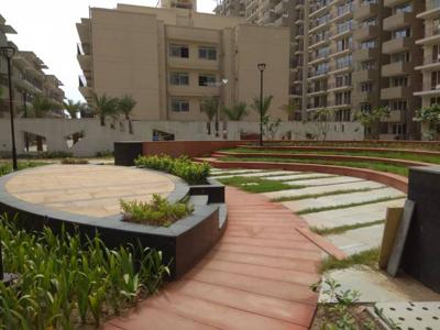350 sq ft 1 BHK 1T Apartment for rent in Signature Global Grand IVA at Sector 103, Gurgaon by Agent user6321