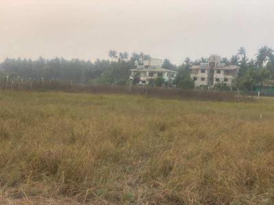 Residential Plot 15000 Sq.ft. for Sale in