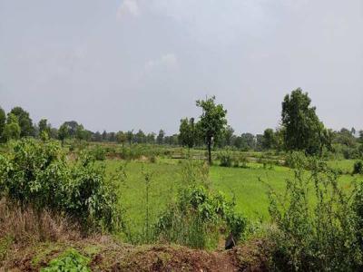 Agricultural Land 68 Guntha for Sale in