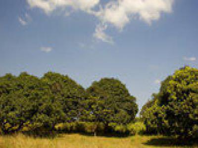 land for sale in courtallam For Sale India