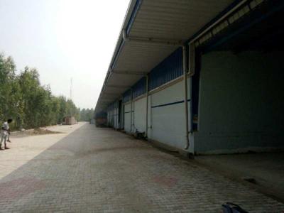 Warehouse 25000 Sq.ft. for Rent in Tikri Kalan,