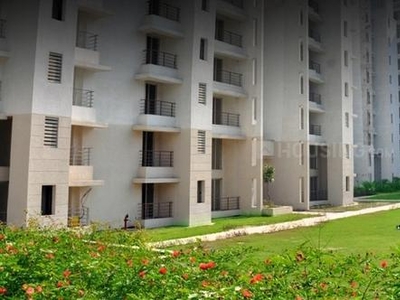 4 BHK Flat for rent in Timarpur, New Delhi - 3600 Sqft