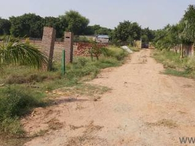 900 Sq. ft Plot for Sale in Sector 148, Noida