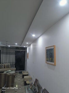 1 BHK Independent Floor for rent in Sector 20, Noida - 500 Sqft