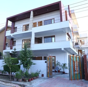 1 BHK Independent House for rent in Sector 71, Noida - 500 Sqft