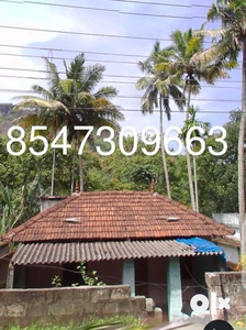 House and land for sale at Thenmala