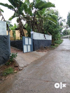 House and Property for sale at Kottarakara