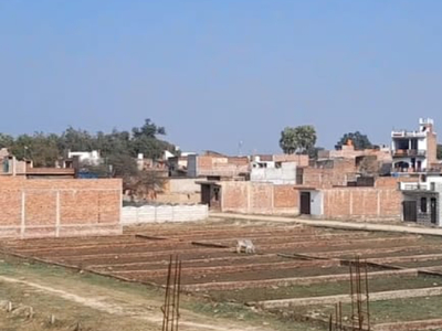 1000 Sq.Yd. Plot in Banthra Sikander Pur Lucknow