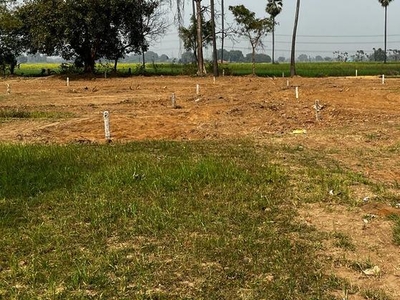 1000 Sq.Yd. Plot in Bihta Patna