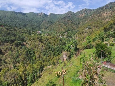 14 Acre Plot in Tara Devi Shimla