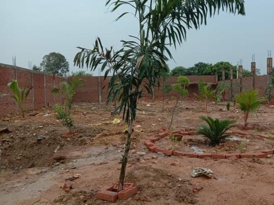 1800 Sq.Ft. Plot in Lowther Road Allahabad