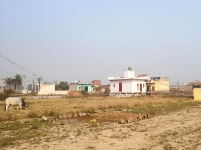 200 Sq.Yd. Plot in Bhopani Village Faridabad